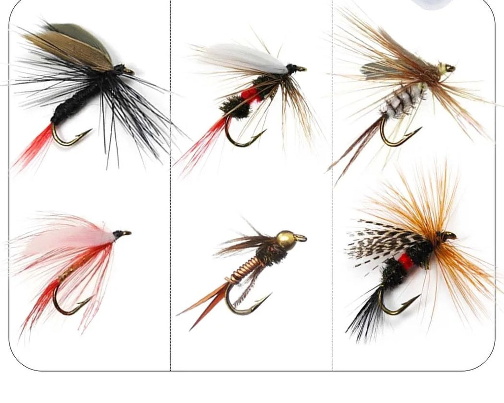 Kit 6 Mouches de Pêche — Sèches & Nymphes | Truite & Ombre