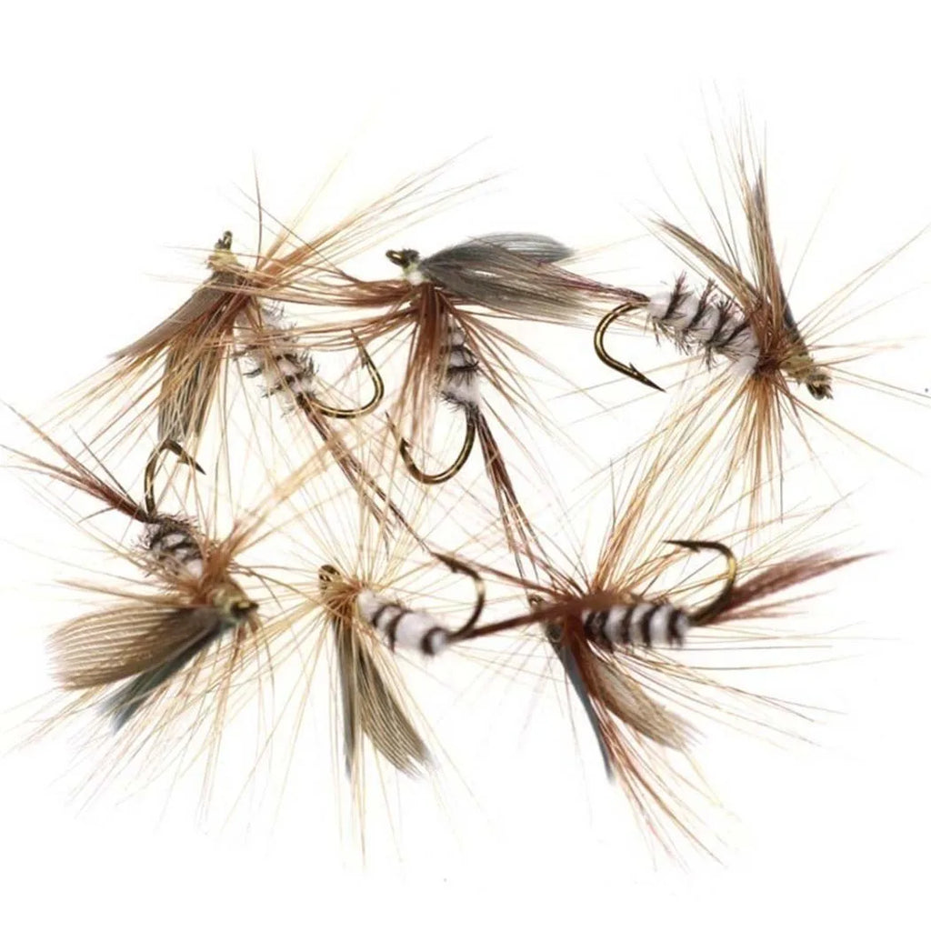 Kit 6 Mouches de Pêche — Sèches & Nymphes | Truite & Ombre